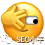 独立站FB广告怎么和SEO结合？ 配图