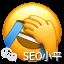 独立站FB广告怎么和SEO结合？ 配图