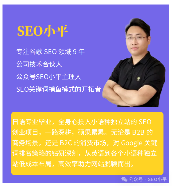 小语种B2B成功案例解析:告别翻译插件,进军纯血西班牙语机械市场 配图