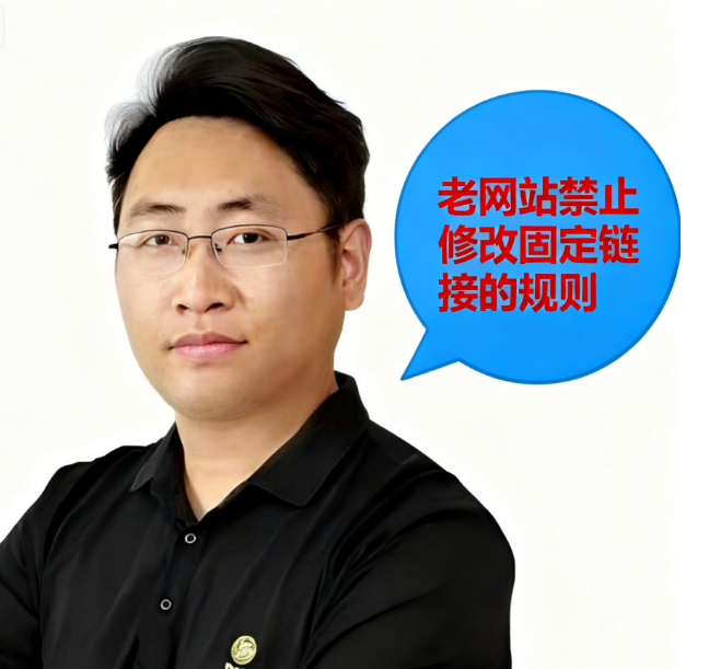 SEO翻译插件的天坑，独立站流量一夜归零的原因 配图