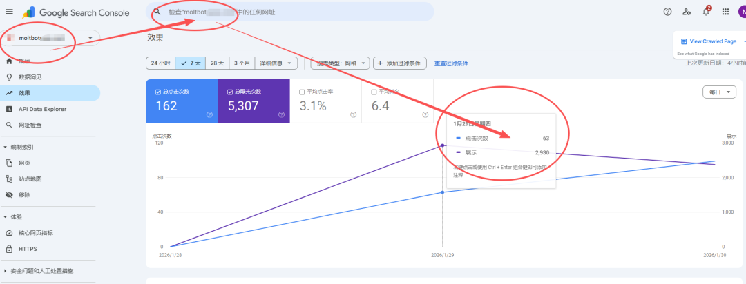 SEO网站刚上线流量就爆了，蹭上了Moltbot热度 配图