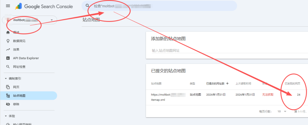 SEO网站刚上线流量就爆了，蹭上了Moltbot热度 配图