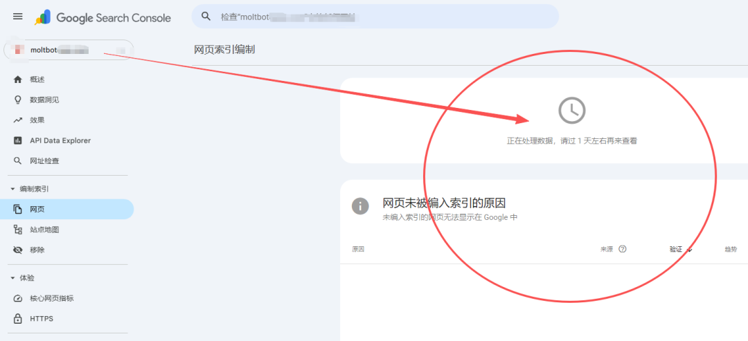 SEO网站刚上线流量就爆了，蹭上了Moltbot热度 配图