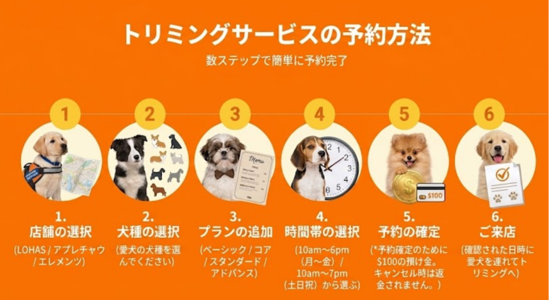 image2搞定100+语种图片，小语种独立站零门槛了 配图