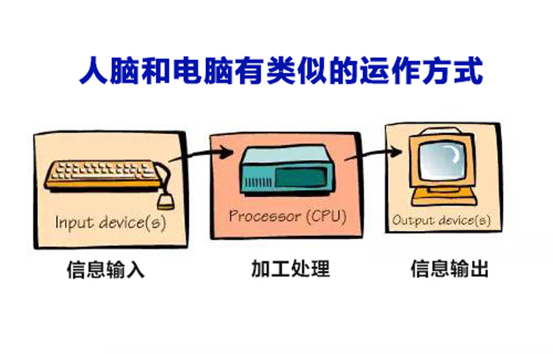 大脑的信息加工机制