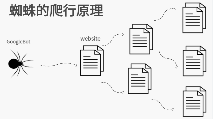 谷歌搜索引擎工作原理：抓取（Crawling）、索引（Indexing）与排名（Ranking）全解析
