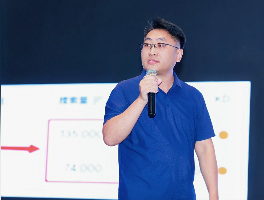 纯血版小语种SEO的独立域名与独立市场逻辑
